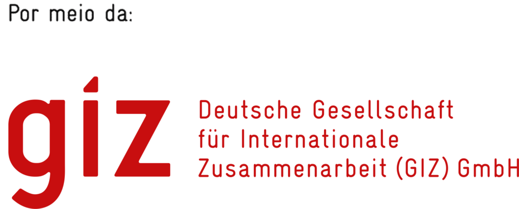 Logotipo da GIZ, parceira internacional do CH2V